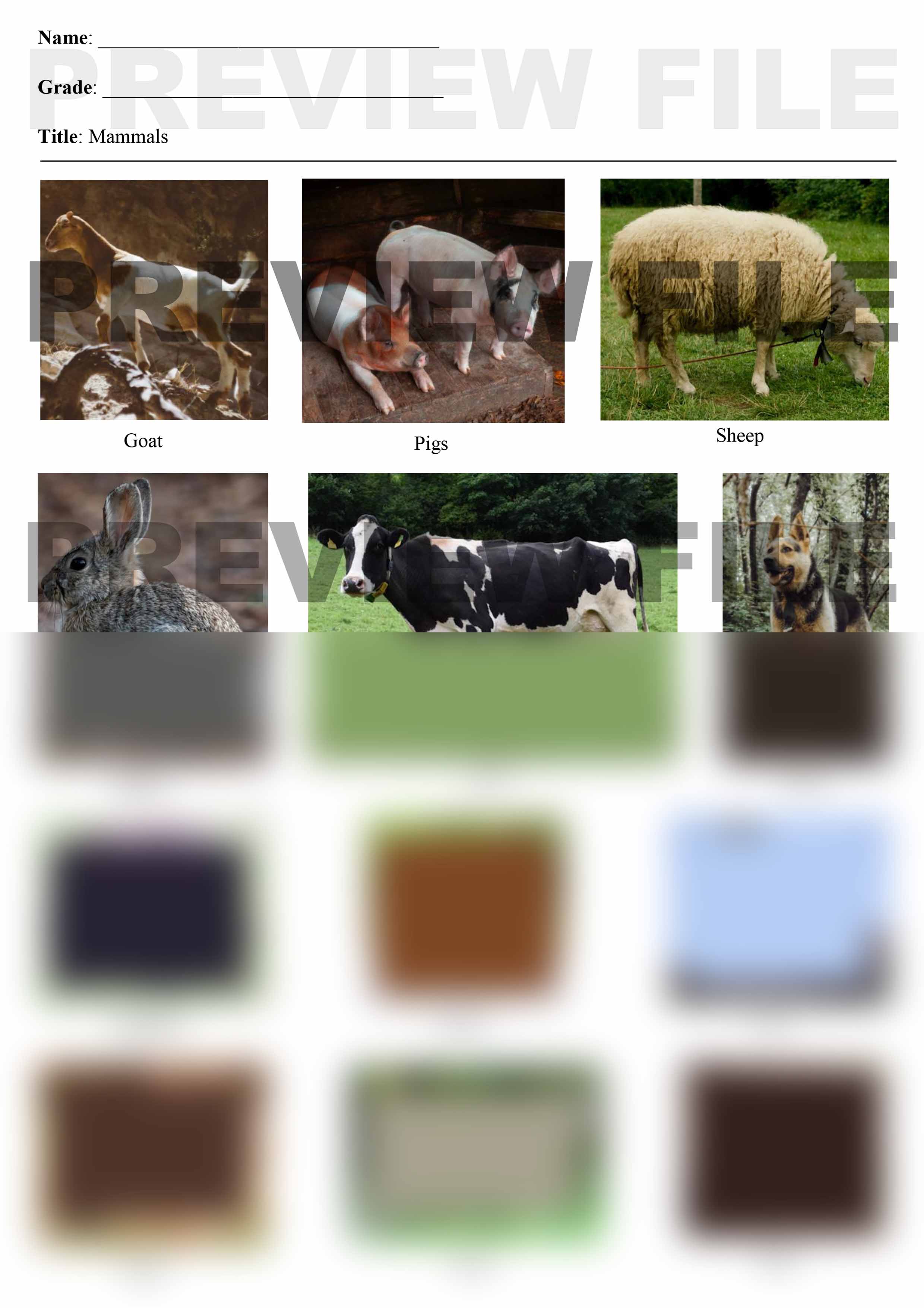 CBC search engine | Mammals
